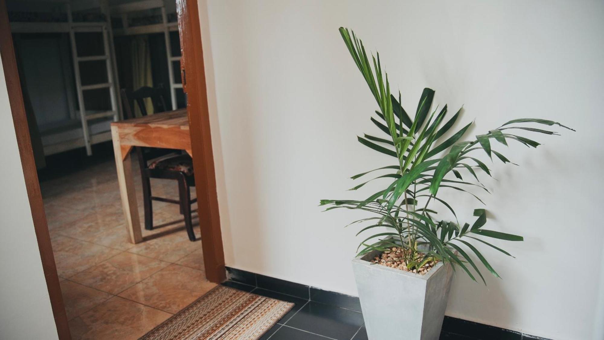 Hotel Dreamy Surf House Weligama Exterior foto