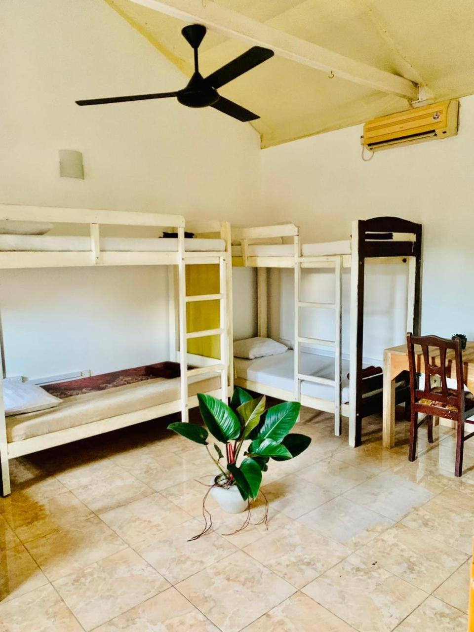 Hotel Dreamy Surf House Weligama Exterior foto